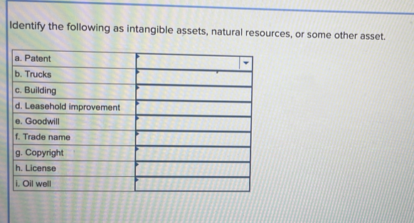 Identify the following as intangible assets, natural resources, or some other asset.