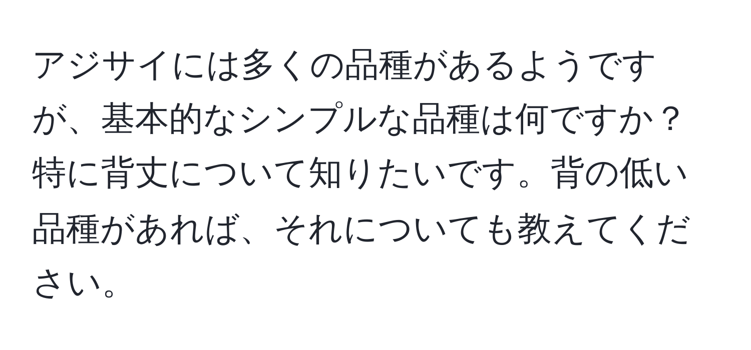 アジサイには多くの品種があるようですが、基本的なシンプルな品種は何ですか？特に背丈について知りたいです。背の低い品種があれば、それについても教えてください。