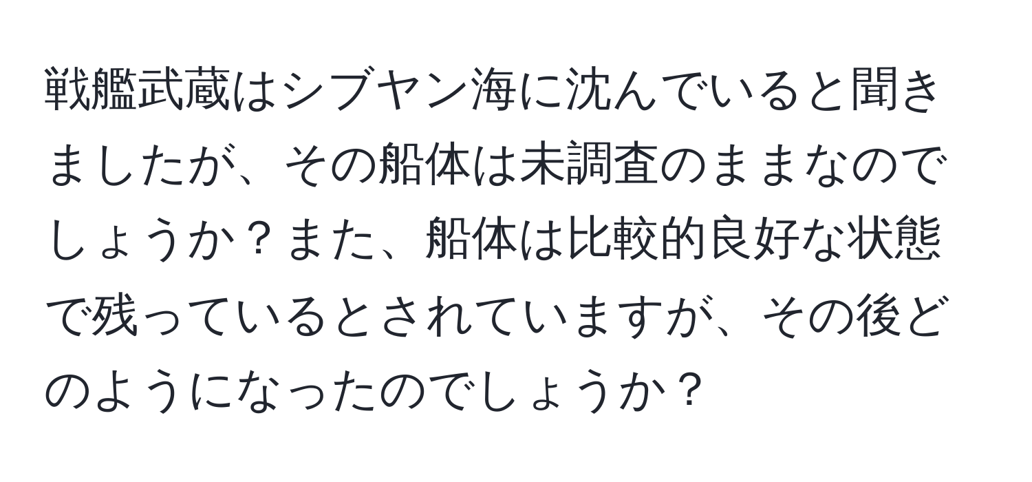 戦艦武蔵はシブヤン海に沈んでいると聞きましたが、その船体は未調査のままなのでしょうか？また、船体は比較的良好な状態で残っているとされていますが、その後どのようになったのでしょうか？