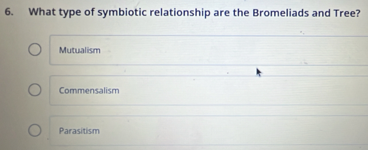 What type of symbiotic relationship are the Bromeliads and Tree?
Mutualism
Commensalism
Parasitism