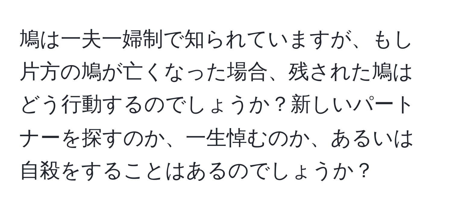 鳩は一夫一婦制で知られていますが、もし片方の鳩が亡くなった場合、残された鳩はどう行動するのでしょうか？新しいパートナーを探すのか、一生悼むのか、あるいは自殺をすることはあるのでしょうか？