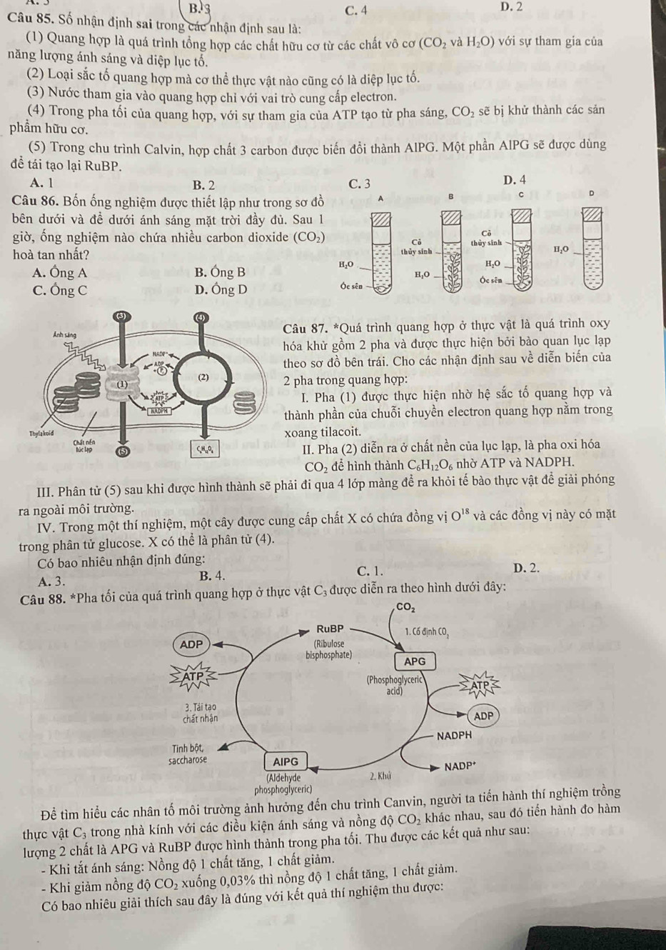 B. 3 C. 4 D. 2
Câu 85. Số nhận định sai trong các nhận định sau là:
(1) Quang hợp là quá trình tổng hợp các chất hữu cơ từ các chất vô cơ (CO_2 và H_2O) với sự tham gia của
năng lượng ánh sáng và diệp lục tố.
(2) Loại sắc tố quang hợp mà cơ thể thực vật nào cũng có là diệp lục tố.
(3) Nước tham gia vào quang hợp chỉ với vai trò cung cấp electron.
(4) Trong pha tối của quang hợp, với sự tham gia của ATP tạo từ pha sáng, CO_2 sẽ bị khử thành các sản
phẩm hữu cơ.
(5) Trong chu trình Calvin, hợp chất 3 carbon được biến đồi thành AIPG. Một phần AIPG sẽ được dùng
đề tái tạo lại RuBP.
A. 1 B. 2 C. 3 D. 4
Câu 86. Bốn ống nghiệm được thiết lập như trong sơ đồ A
c D
bên dưới và đề dưới ánh sáng mặt trời đầy đủ. Sau l
Cô
giờ, ống nghiệm nào chứa nhiều carbon dioxide (CO_2) thủy sinh 
Cỏ
hoà tan nhất? thủy sinh
_2O
A. Ông A B. OngB H₂O H₂O
C. Ống C D. OngD Óc sên Óc sēn
Câu 87. *Quá trình quang hợp ở thực vật là quá trình oxy
hóa khử gồm 2 pha và được thực hiện bởi bào quan lục lạp
theo sơ đồ bên trái. Cho các nhận định sau về diễn biến của
2 pha trong quang hợp:
I. Pha (1) được thực hiện nhờ hệ sắc tố quang hợp và
thành phần của chuỗi chuyền electron quang hợp nằm trong
xoang tilacoit.
II. Pha (2) diễn ra ở chất nền của lục lạp, là pha oxi hóa
CO_2 để hình thành C_6H_12O_6 nhờ ATP và NADPH.
III. Phân tử (5) sau khi được hình thành sẽ phải đi qua 4 lớp màng để ra khỏi tế bào thực vật để giải phóng
ra ngoài môi trường.
IV. Trong một thí nghiệm, một cây được cung cấp chất X có chứa đồng vị O^(18) và các đồng vị này có mặt
trong phân tử glucose. X có thể là phân tử (4).
Có bao nhiêu nhận định đúng: D. 2.
A. 3. B. 4.
C. 1.
Câu 88. *Pha tối của quá trình quang hợp ở thực vật ở C_3 được diễn ra theo hình dưới đây:
Để tìm hiểu các nhân tố môi trường ảnh hưởng đến chu trình Canvin, người ta tiến hànthí nghiệm trồng
thực vật C₃ trong nhà kính với các điều kiện ánh sáng và nồng độ CO_2 khác nhau, sau đó tiển hành đo hàm
lượng 2 chất là APG và RuBP được hình thành trong pha tối. Thu được các kết quả như sau:
- Khi tắt ánh sáng: Nồng độ 1 chất tăng, 1 chất giảm.
- Khi giảm nồng độ CO_2 xuống 0,03% thì nồng độ 1 chất tăng, 1 chất giảm.
Có bao nhiêu giải thích sau đây là đúng với kết quả thí nghiệm thu được: