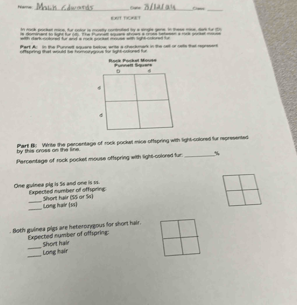 Name: _Date _Cane_ 
EXIT TICKET 
In rock pocket mice, fur color is mostly controlled by a single gane. In these mice, dark fur (D) 
is dominant to light fur (d). The Punnett square shows a cross between a rock secker messe 
with dark-colored fur and a rock pocket mouse with light-colored fur 
Part A: In the Punnett square below, write a checkmark in the celli or callis thatl represent 
offspring that would be homozygous for light-colored fur. 
Rock Pocket Mouse 
nnett Square 
Part B: Write the percentage of rock pocket mice offspring with light-colored fur represented 
by this cross on the line. 
Percentage of rock pocket mouse offspring with light-colored fur:_
%
One guinea pig is Ss and one is ss. 
Expected number of offspring: 
_ 
Short hair (SS or Ss) 
_ 
Long hair (ss) 
. Both guinea pigs are heterozygous for short hair. 
Expected number of offspring: 
_ 
Short hair 
_ 
Long hair