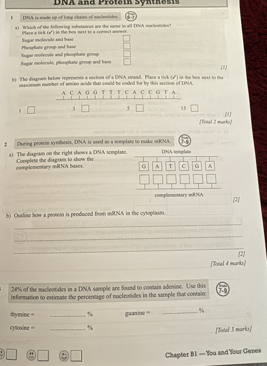 DNA and Protein Synthesis
1 DNA is made up of long chains of nucleotides. 6-7
a) Which of the following substances are the same in all DNA nucleotides?
Place a tick (✔) in the box next to a correct answer.
Sugar molecule and base
Phosphate group and base
Sugar molecule and phosphate group
Sugar molecule, phosphate group and base
[1]
b) The diagram below represents a section of a DNA strand. Place a tick (✓) in the box next to the
maximum number of amino acids that could be coded for by this section of DNA.
A C A G G T T T C C C G A
1 □
3
5 □
15
[1]
[Total 2 marks]
2 During protein synthesis, DNA is used as a template to make mRNA.
a) The diagram on the right shows a DNA template. DNA template
Complete the diagram to show the
complementary mRNA bases. G A T C G A
complementary mRNA
[2]
b) Outline how a protein is produced from mRNA in the cytoplasm.
_
_
_
[2]
[Total 4 marks]
Grade
24% of the nucleotides in a DNA sample are found to contain adenine. Use this 7-9
information to estimate the percentage of nucleotides in the sample that contain:
thymine = _ % guanine =_
%
cytosine = _%
[Total 3 marks]
Chapter B1 — You and Your Genes