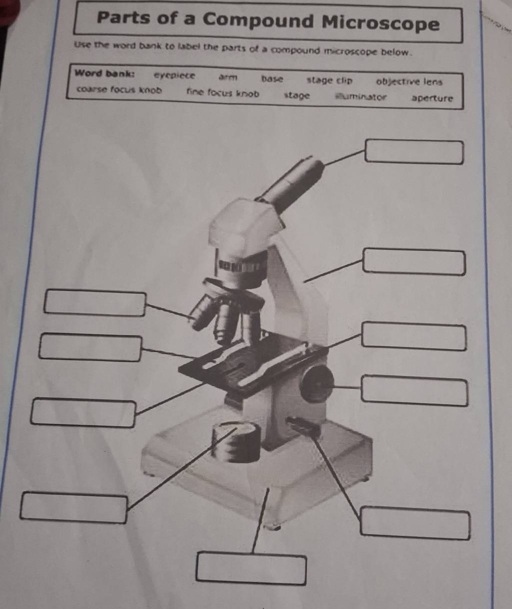 Solved: Parts of a Compound Microscope Use the word bank to label the ...