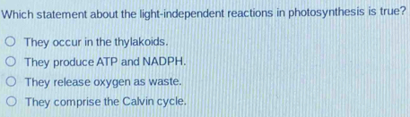 Which statement about the light-independent reactions in photosynthesis is true?
They occur in the thylakoids.
They produce ATP and NADPH.
They release oxygen as waste.
They comprise the Calvin cycle.