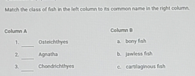 Gelöst:Match the class of fish in the left column to its common name in ...