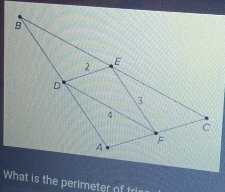 What is the perimeter of trin