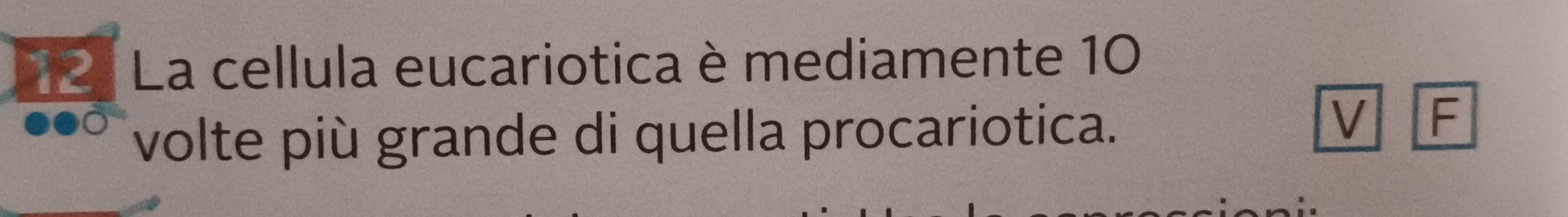 La cellula eucariotica è mediamente 10
volte più grande di quella procariotica. 
V F