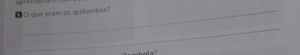 aprenderam 
D O que eram os quilombos? 
_ 
o