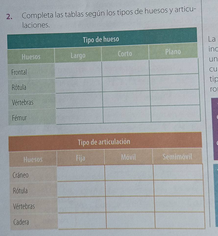 Completa las tablas según los tipos de huesos y articu- 
a 
nc 
n 
u 
ip 
o