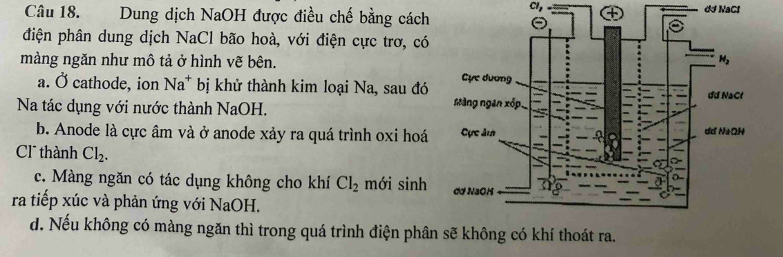 CI,
Câu 18. Dung dịch NaOH được điều chế bằng cách dd NaCl
điện phân dung dịch NaCl bão hoà, với điện cực trơ, có
màng ngăn như mô tả ở hình vẽ bên.
a. Ở cathode, ion Na^+ bị khử thành kim loại Na, sau đó
Na tác dụng với nước thành NaOH.
b. Anode là cực âm và ở anode xảy ra quá trình oxi hoá
Cl thành Cl_2.
c. Màng ngăn có tác dụng không cho khí Cl_2 mới sinh
ra tiếp xúc và phản ứng với NaOH.
d. Nếu không có màng ngăn thì trong quá trình điện phân sẽ không có khí thoát ra.