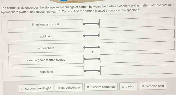 The carbon cycle describes the storage and exchange of carbon between the Earth's biosphere (living matter), atmosphere (air),
hydrosphere (water), and geosphere (earth). Can you find the carbon located throughout the spheres?
limestone and coral
acid rain
atmosphere
dead organic matter, humus
organisms
carbon dioxide gas carbohydrates calcium carbonate :: carbon carbonic acid