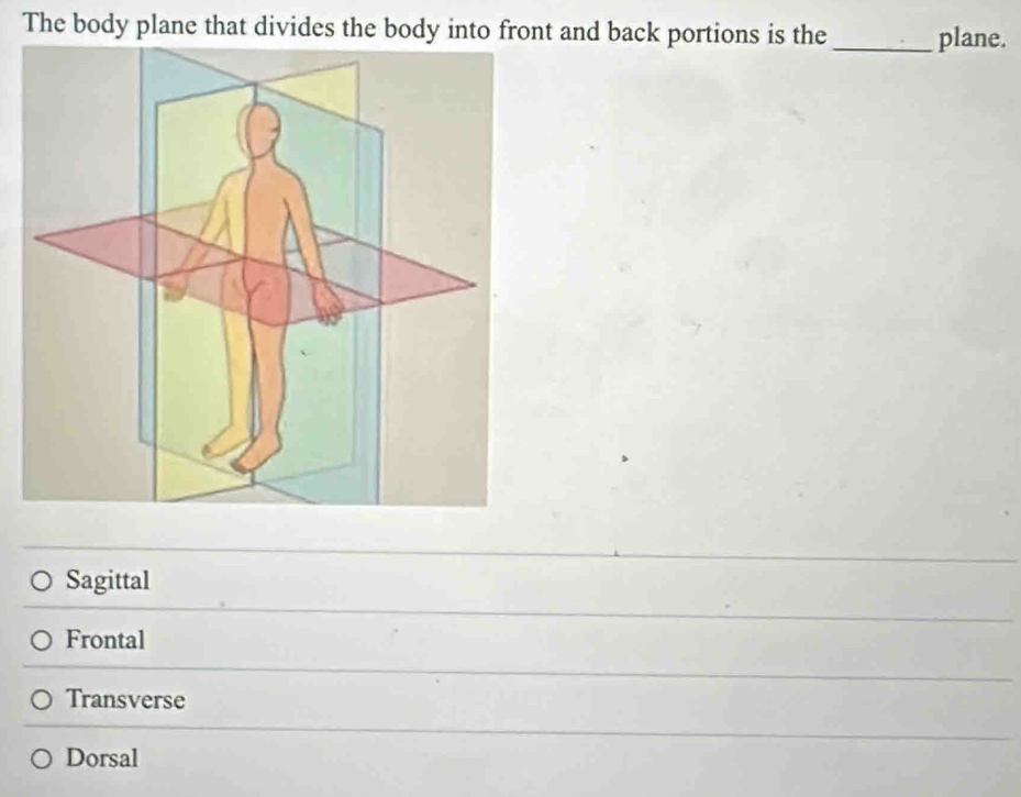 The body plane that divides the body into front and back portions is the _plane.
Sagittal
Frontal
Transverse
Dorsal