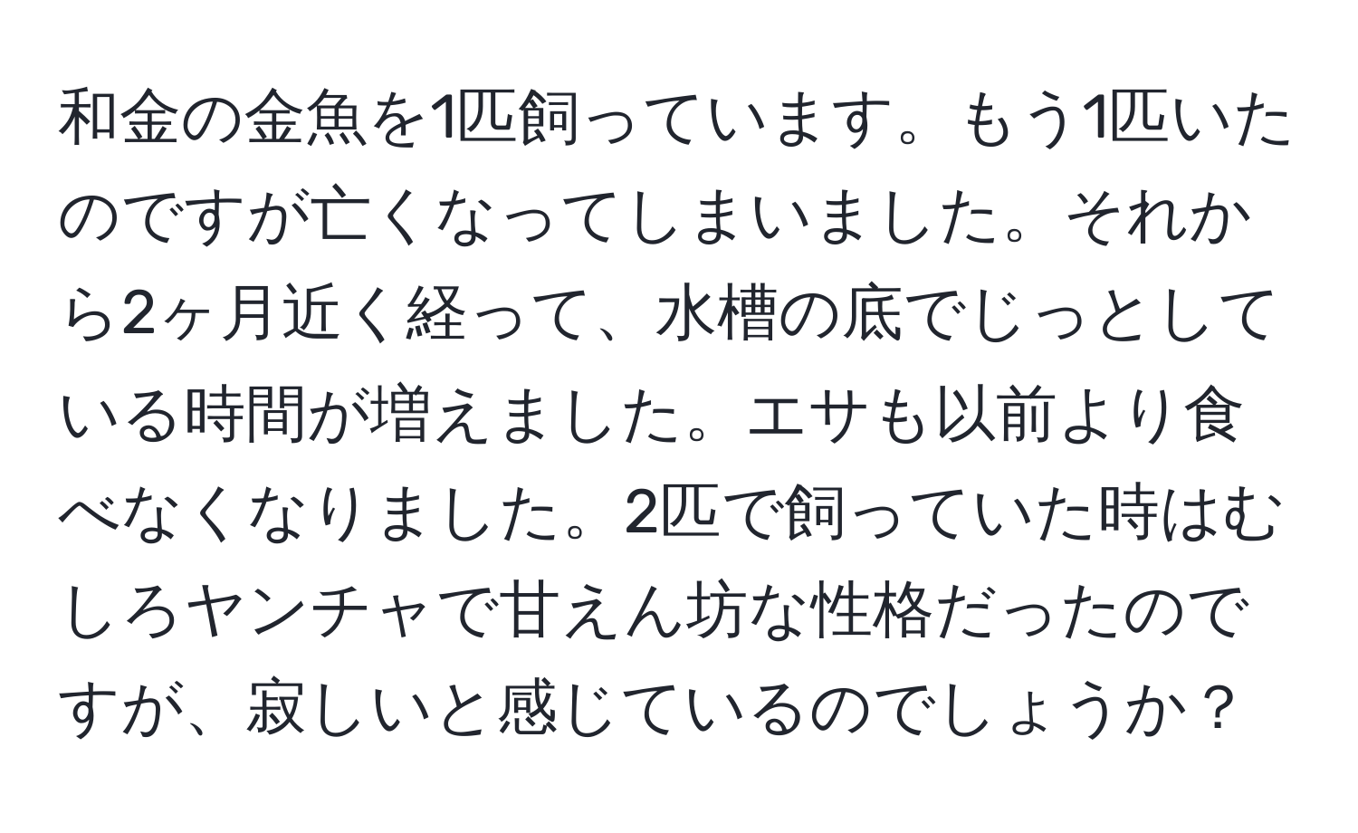 和金の金魚を1匹飼っています。もう1匹いたのですが亡くなってしまいました。それから2ヶ月近く経って、水槽の底でじっとしている時間が増えました。エサも以前より食べなくなりました。2匹で飼っていた時はむしろヤンチャで甘えん坊な性格だったのですが、寂しいと感じているのでしょうか？