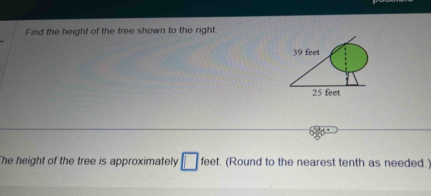 Find the height of the tree shown to the right. 
The height of the tree is approximately □ feet. (Round to the nearest tenth as needed.)