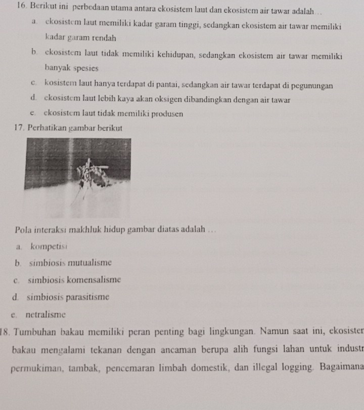 Berikut ini perbedaan utama antara ekosistem laut dan ekosistem air tawar adalah..
a. ekosistem laut memiliki kadar garam tinggi, sedangkan ekosistem air tawar memiliki
kadar garam rendah
b. ekosistem laut tidak memiliki kehidupan, sedangkan ekosistem air tawar memiliki
banyak spesies
c. kosistem laut hanya terdapat di pantai, sedangkan air tawar terdapat di pegunungan
d. ekosistem laut lebih kaya akan oksigen dibandingkan dengan air tawar
e ekosistem laut tidak memiliki produsen
17. Perhatikan gambar berikut
Pola interaksi makhluk hidup gambar diatas adalah ….
a kompetis
b. simbiosis mutualisme
c. simbiosis komensalisme
d. simbiosis parasitisme
e. netralisme
18. Tumbuhan bakau memiliki peran penting bagi lingkungan. Namun saat ini, ekosister
bakau mengalami tekanan dengan ancaman berupa alih fungsi lahan untuk industr
permukiman, tambak, pencemaran limbah domestik, dan illegal logging. Bagaimana