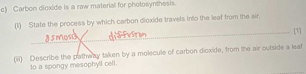 Carbon dioxide is a raw material for photosynthesis. 
(i) State the process by which carbon dioxide travels into the leaf from the air. 
[1] 
_ 
smost 
_ 
(ii) Describe the pathway taken by a molecule of carbon dioxide, from the air outside a leaf 
to a spongy mesophyll cell.