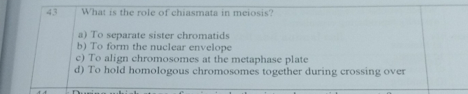 What is the role of chiasmata in meiosis?
a) To separate sister chromatids
b) To form the nuclear envelope
c) To align chromosomes at the metaphase plate
d) To hold homologous chromosomes together during crossing over