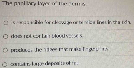 The papillary layer of the dermis:
is responsible for cleavage or tension lines in the skin.
does not contain blood vessels.
produces the ridges that make fngerprints.
contains large deposits of fat.