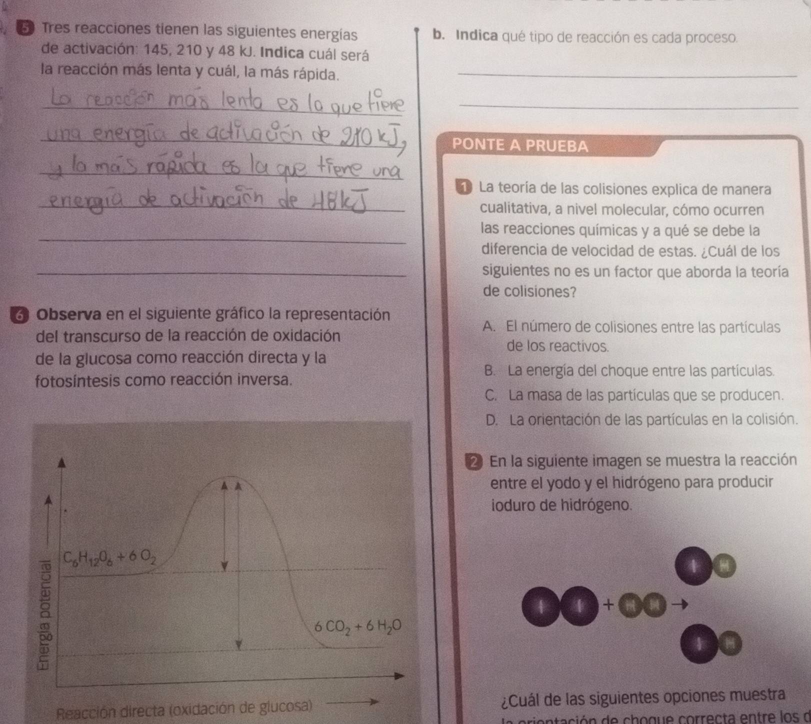 Tres reacciones tienen las siguientes energías b. Indica qué tipo de reacción es cada proceso.
de activación: 145, 210 y 48 kJ. Indica cuál será
la reacción más lenta y cuál, la más rápida._
_
_
_
PONTE A PRUEBA
_
La teoría de las colisiones explica de manera
_cualitativa, a nivel molecular, cómo ocurren
_
las reacciones químicas y a qué se debe la
diferencia de velocidad de estas. ¿Cuál de los
_siguientes no es un factor que aborda la teoría
de colisiones?
6 Observa en el siguiente gráfico la representación
del transcurso de la reacción de oxidación
A. El número de colisiones entre las partículas
de los reactivos.
de la glucosa como reacción directa y la
fotosíntesis como reacción inversa.
B. La energía del choque entre las partículas.
C. La masa de las partículas que se producen.
D. La orientación de las partículas en la colisión.
2 En la siguiente imagen se muestra la reacción
entre el yodo y el hidrógeno para producir
ioduro de hidrógeno.
Reacción directa (oxidación de glucosa) ¿Cuál de las siguientes opciones muestra
entación de chogue correcta entre los d