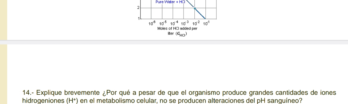 Pure Vater +HCl
liter (C_HCl)
14.- Explique brevemente ¿Por qué a pesar de que el organismo produce grandes cantidades de iones
hidrogeniones (H⁺) en el metabolismo celular, no se producen alteraciones del pH sanguíneo?