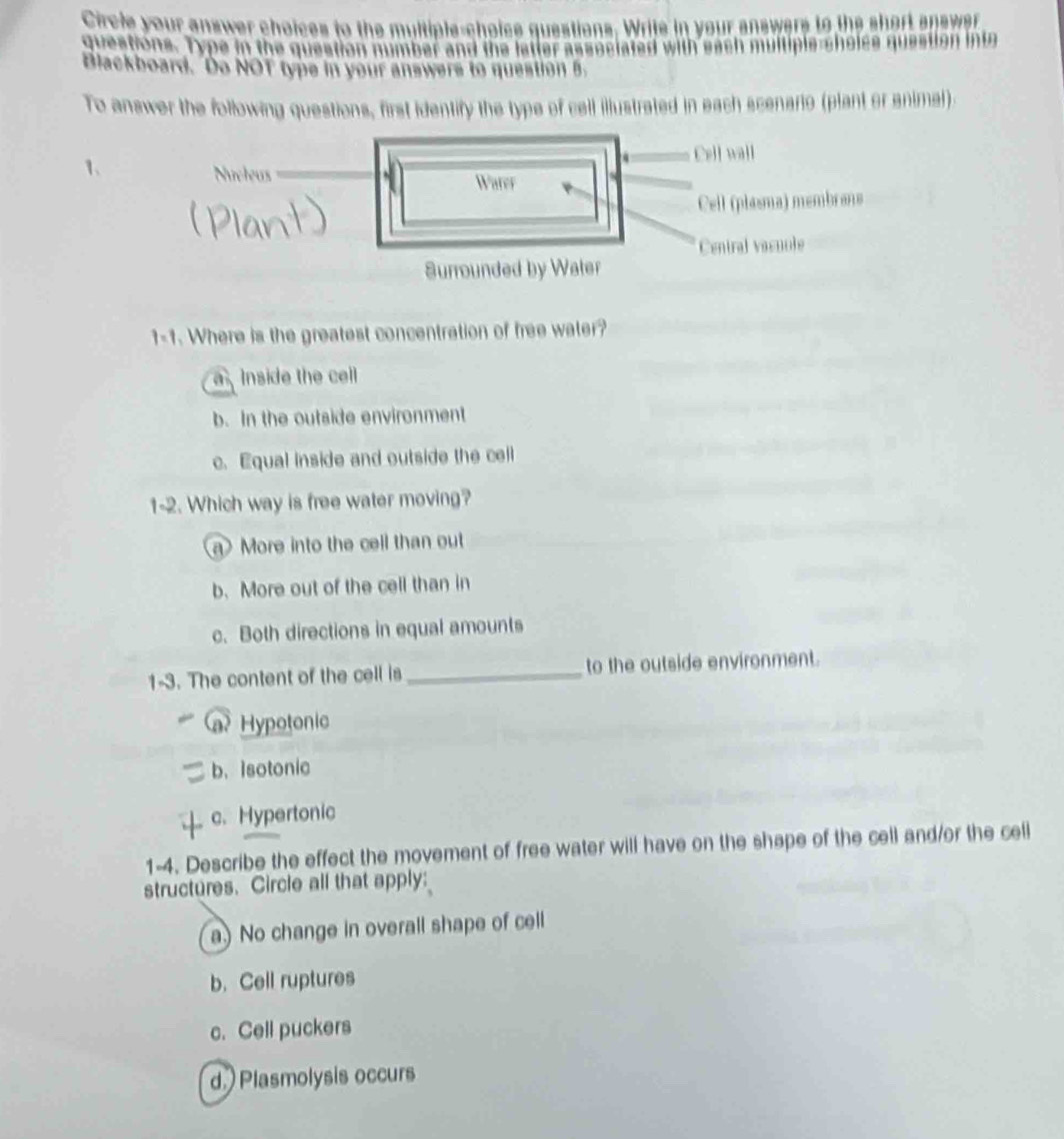 Cicle your answer choices to the multiple-choice questions. Write in your answers to the short answer
queations. Type in the question number and the latter assesiated with eash multiple-shoice question int
Blackboard. "Do NOT type in your answers to question B.
To answer the following questions, first identify the type of cell illustrated in each scenario (plant or animal)
1、 Cell wall
Nucleus Water
Cell (plasma) membrans
Central vacuole
Surrounded by Water
1-1. Where is the greatest concentration of free water?
a Inside the cell
b. In the outside environment
c. Equal inside and outside the cell
1-2. Which way is free water moving?
a More into the cell than out
b. More out of the cell than in
c. Both directions in equal amounts
1-3. The content of the cell is _to the outside environment.
Hypotonic
b. Isotonic
c. Hypertonic
1-4. Describe the effect the movement of free water will have on the shape of the cell and/or the celi
structures. Circle all that apply:
a.) No change in overall shape of cell
b. Cell ruptures
c. Cell puckers
d.) Plasmolysis occurs