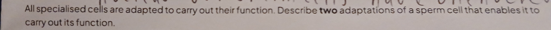 All specialised cells are adapted to carry out their function. Describe two adaptations of a sperm cell that enables it to 
carry out its function.