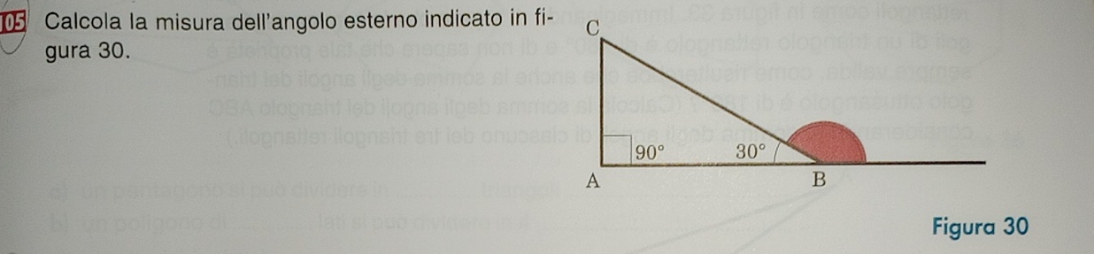 Calcola la misura dell'angolo esterno indicato in fi-
gura 30.
Figura 30