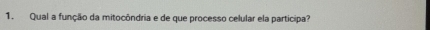 Qual a função da mitocôndria e de que processo celular ela participa?