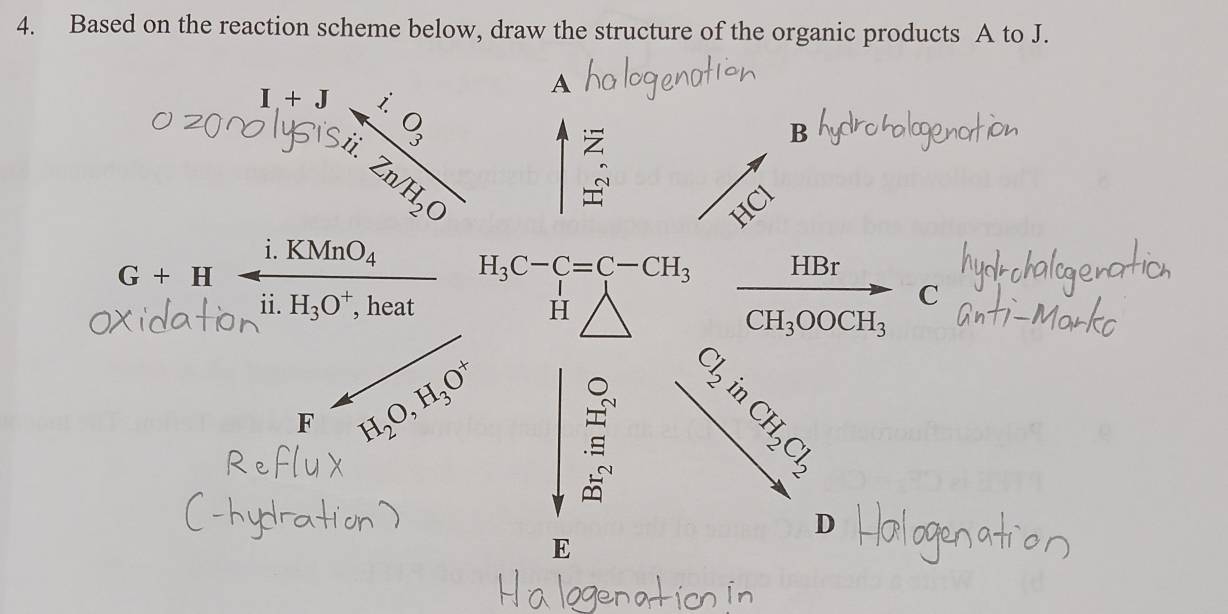 Based on the reaction scheme below, draw the structure of the organic products A to J.
1+J+ 1/3 
A 
B
Zn/H_2O
HCl
HB_1
G+H i.KMnO_4 H_3C-C=C-CH_3 4 
ii. H_3O^+ , heat H 
C
CH_3OOCH_3
F H_2O, H_3O^+
C/3 i
CH_2Cl_2
D 
E