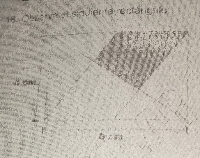 Observa el siguiente rectángulo:
4 cm