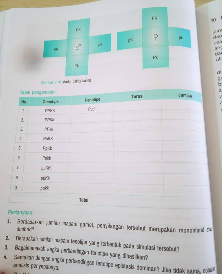 PK
b)
PK
pK lain
pk
pk dap
sea
pK
an
da
Pk
tik
Pk
d
Gambar 2.36 Model baling-baling.
g
b
a
V
1. Berdasarkan jumlah macam gamet, penyilangan tersebut merupakan monohibrid alau
dihibrid?
2. Berapakah jumlah macam fenotipe yang terbentuk pada simulasi tersebut?
3. Bagaimanakah angka perbandingan fenotipe yang dihasilkan?
4. Samakah dengan angka perbandingan fenotipe epistasis dominan? Jika tidak sama. cobalal
analisis penyebabnya.