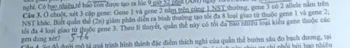 nghĩ. Có bạo nhiệu tế bão còn được tạo ra lúc 9 giờ 52 phụi (AM) lgày lừi 
Cầu 3. O chuột, xét 3 cập gene: Gene 1 và gene 2 năm trên cùng 1 NST thường, gene 3 có 2 allele nằm trên 
NST khác. Biết quản thể (2n) giám phần diễn ra bình thường tạo tôi đa 8 loại giao từ thuộc gene 1 và gene 2; 
tối đa 4 loại giao từ thuộc gene 3. Theo li thuyết, quân thể này có tối đa bao nhiều loại kiểu gene thuộc các 
gen dang xér? 
# 4 Sự đồ đưới mộ tả quả trình hình thành đặc điểm thích nghi của quần thể bướm sâu đo bạch dưmg, tại 
u ar chi nhỏi bởi bao nhiều