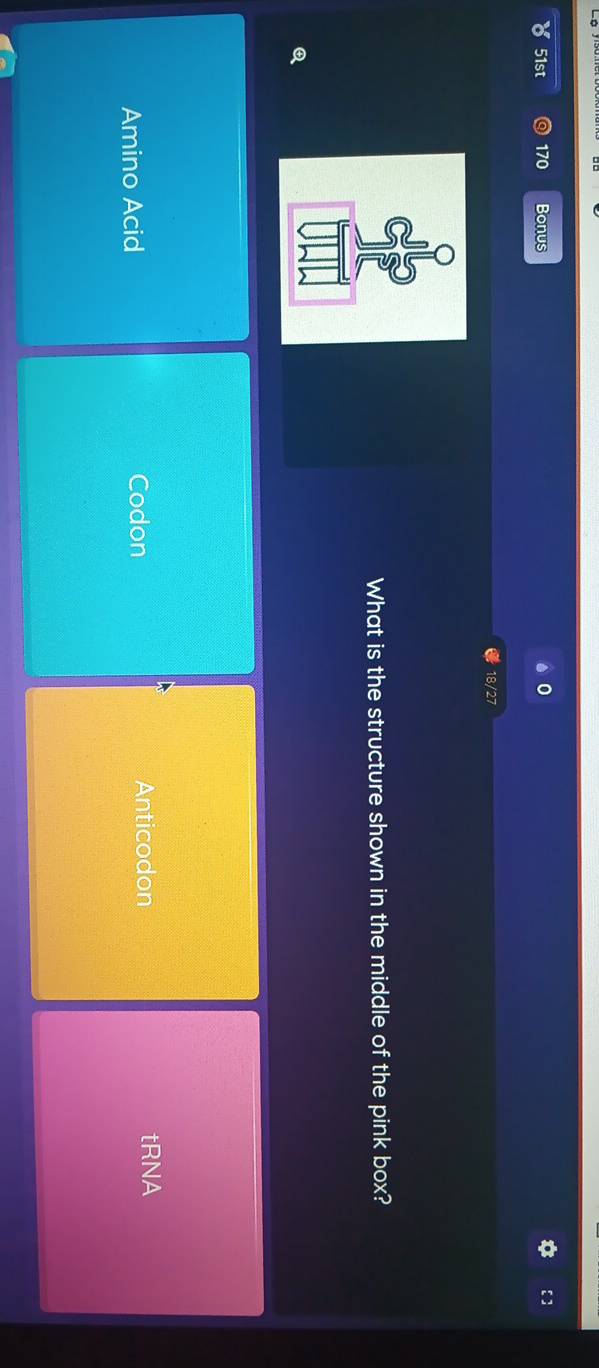 51st 170 Bonus
18/27
What is the structure shown in the middle of the pink box?
Q
Amino Acid Codon Anticodon
tRNA