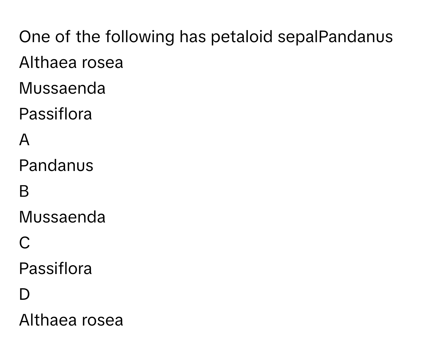 One of the following has petaloid sepalPandanus
Althaea rosea
Mussaenda
Passiflora

A  
Pandanus 


B  
Mussaenda 


C  
Passiflora 


D  
Althaea rosea