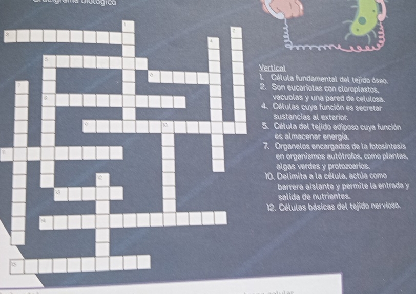 Vertical 
Célula fundamental del tejido óseo. 
Son eucariotas con cloroplastos. 
vacuolas y una pared de celulosa. 
Células cuya función es secretar 
sustancias al exterior. 
Célula del tejido adiposo cuya función 
es almacenar energía. 
Organelos encargados de la fotosíntesis 
en organismos autótrofos, como plantas, 
algas verdes y protozoarios. 
Delimita a la célula, actúa como 
barrera aislante y permite la entrada y 
salida de nutrientes. 
2. Células básicas del tejido nervioso.