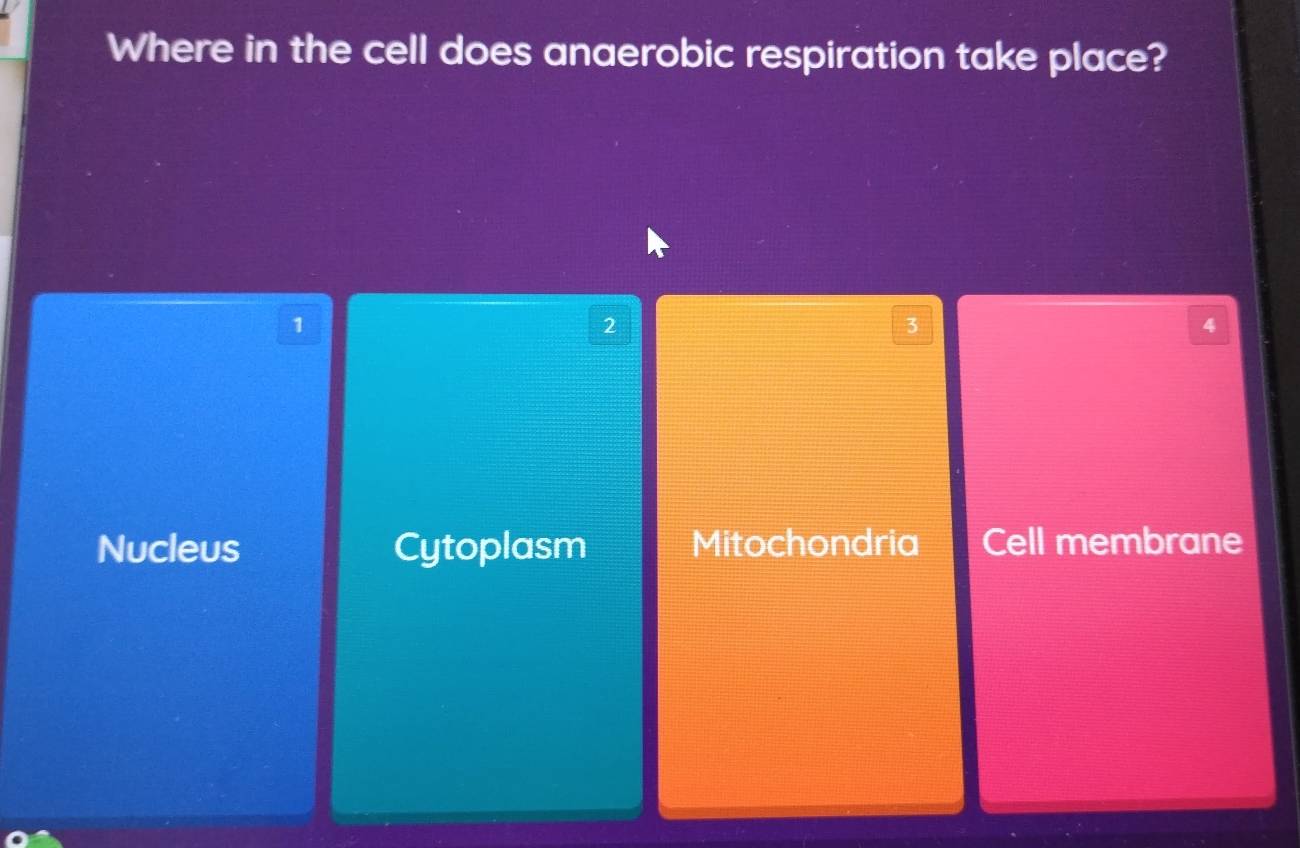 Where in the cell does anaerobic respiration take place?
1
2
3
4
Nucleus Cytoplasm Mitochondria Cell membrane