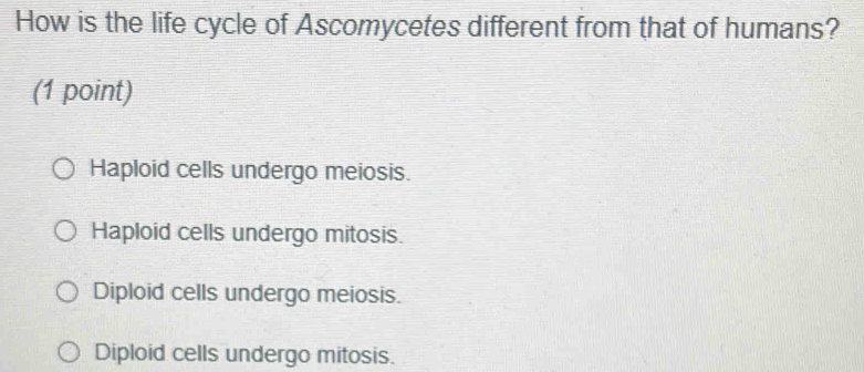 How is the life cycle of Ascomycetes different from that of humans?
(1 point)
Haploid cells undergo meiosis.
Haploid cells undergo mitosis.
Diploid cells undergo meiosis.
Diploid cells undergo mitosis.