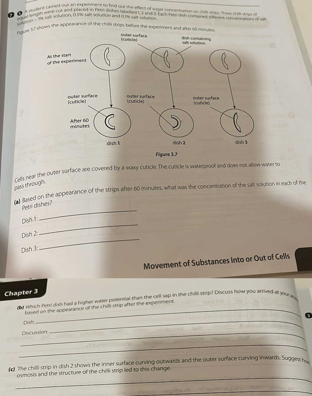 A student carried out an experiment to find out the effect of sugar concentration on chilli strips. Three chilli strips of 
equal length were cut and placed in Petri dishes labelled 1, 2 and 3. Each Petri dish contained different concentrations of salt 
solution - 1% salt solution, 0.5% salt solution and 0.1% salt solution. 
Figure 3.7 shows the appearance of the chilli strips before the experiment and after 60 minutes
Cells near the outer surface are covered by a waxy cuticle. The cuticle is waterproof and does not allow water to 
pass through. 
(a) Based on the appearance of the strips after 60 minutes, what was the concentration of the salt solution in each of the 
_ 
Petri dishes? 
Dish 1: 
_ 
Dish 2: 
_ 
Dish 3: 
Movement of Substances Into or Out of Cells 
Chapter 3 
(b) Which Petri dish had a higher water potential than the cell sap in the chilli strip? Discuss how you arrived at your a 
based on the appearance of the chilli strip after the experiment. 
Dish: 
_Discussion: 
_ 
_ 
(c) The chilli strip in dish 2 shows the inner surface curving outwards and the outer surface curving inwards. Suggest ho 
_ 
osmosis and the structure of the chilli strip led to this change. 
_