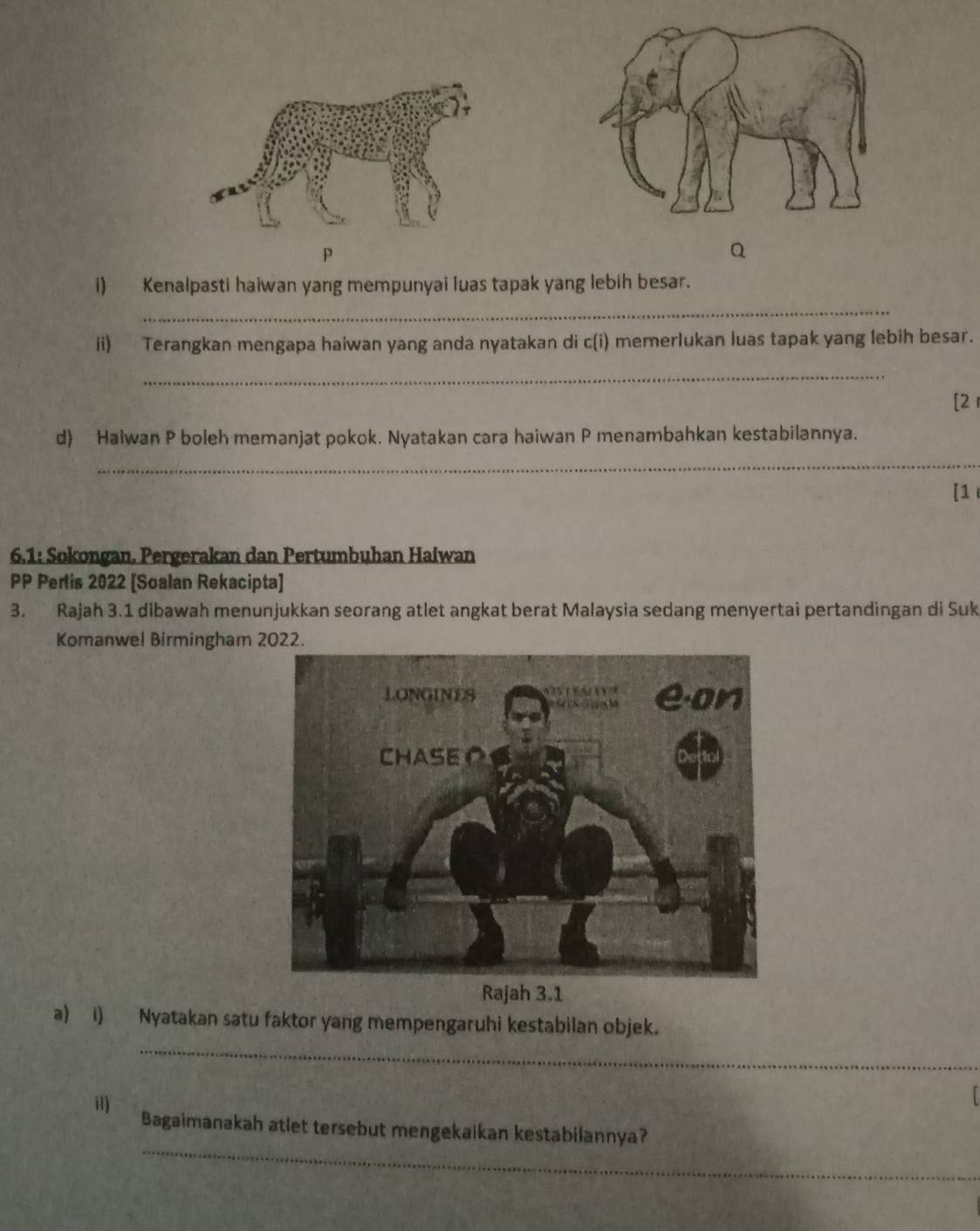 Q
i) Kenalpasti haiwan yang mempunyai luas tapak yang lebih besar. 
_ 
ii) Terangkan mengapa haiwan yang anda nyatakan di c(i) memerlukan luas tapak yang lebih besar. 
_ 
[2 r
d Haiwan P boleh memanjat pokok. Nyatakan cara haiwan P menambahkan kestabilannya. 
_ 
[1 
6.1: Sokongan. Pergerakan dan Pertumbuhan Haiwan 
PP Perlis 2022 [Soalan Rekacipta] 
3. Rajah 3.1 dibawah menunjukkan seorang atlet angkat berat Malaysia sedang menyertai pertandingan di Suk 
Komanwel Birmingham 2022. 
Rajah 3.1 
_ 
a) i) Nyatakan satu faktor yang mempengaruhi kestabilan objek. 
_ 
i Bagaimanakah atlet tersebut mengekaikan kestabilannya?