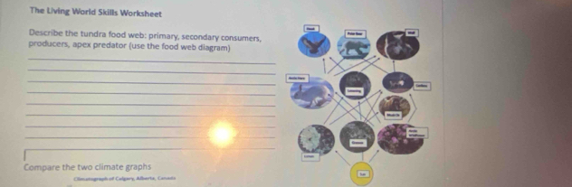 The Living World Skills Worksheet 
Describe the tundra food web: primary, secondary consumers, 
producers, apex predator (use the food web diagram) 
_ 
_ 
_ 
_ 
_ 
_ 
_ 
_ 
_ 
Compare the two climate graphs 
Olimatograph of Calgary, Alberta, Canats