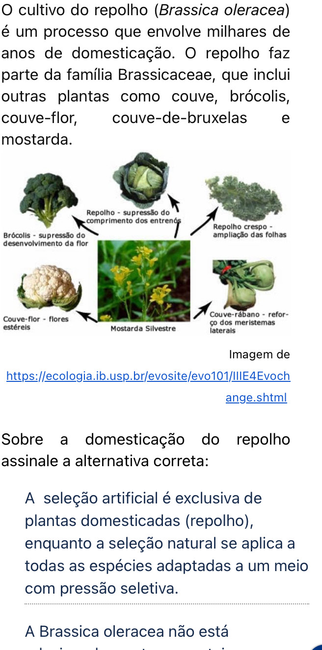 cultivo do repolho (Brassica oleracea)
é um processo que envolve milhares de
anos de domesticação. O repolho faz
parte da família Brassicaceae, que inclui
outras plantas como couve, brócolis,
couve-flor, couve-de-bruxelas we
mostarda.
Brócolis - supressão do
desenvolvimento da flor
Couve-flor - flores
estéreis
Imagem de
https://ecologia.ib.usp.br/evosite/evo101/IIIE4Evoch
ange.shtml
Sobre a domesticação do repolho
assinale a alternativa correta:
A seleção artificial é exclusiva de
plantas domesticadas (repolho),
enquanto a seleção natural se aplica a
todas as espécies adaptadas a um meio
com pressão seletiva.
A Brassica oleracea não está