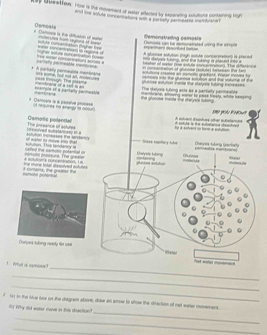 ney question: How is the movement of water affected by separating solutions contairing high
and low solute concentrations with a partially permeable membrane?
Osmosis
* Osmosis is the diffusion of water
Demanstrating asmosis
molecutes from regions of lower
Oamosia san be demonstrated using the simple
solute concentration (higher free
experment descrbed below 
water concentration) lo regions of
higher solute concentration (lower
A glucose solution (high solute concentration) is placed
free water concentration) across a
into dialysis fubing, and the tubing is placed into a
partially permeable membrane.
beaker of water (low sefute consentration). The difference
in concentration of glusose (solute) between the Ew9
A partially permeable membrane
solutions creates an osmotic gradient. Water moves by
lets some, but not all, molecules
osmosis into the glycose sotution and the volume of the
pass through. The plasme glucose solution inside the dialysis tubing increases.
membrane of a cell is an The dialysis lubing acts as a partially permeable
example of a partially permeable membrane, allowing water to pass freely, while keeping
membirane the glusose inside the dialysis lubing .
+ Osmosis is a passive process
(it requires no energy to occur). DID yOu KNOw?
A solvent dissolves other substances
Osmotic potential A solute is the substance dissolved
The presence of solutes
by a soivent to form a solution.
(dissolved substances) in a
solution increases the tendancy Glass capillary lube Dielyels fubing (pertially
of water to move into that
solution. This fendency is
permeatla memticane)
called the osmotie potential or Dialysis tubing Glucose Water
osmotic pressure. The greater containing moleculs
a solution's concentration, Le. glucoss solution molecule
the more fotal dissolved solutes 
it contains, the greater the
osmotic potential.
alysis tubing ready for use
Water
_
Net waler movemsnt
1. What is esmosis?
_
_
_
2 (e) In the blue box on the diagram above, draw an arrow to show the direction of not water movement.
(1) Why did water move in this direction?
_
_