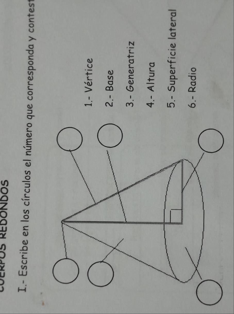 Escribe en los círculos el número que corresponda y contest 
1.- Vértice 
2.- Base 
3.- Generatriz 
4.- Altura 
5.- Superficie lateral 
6.- Radio