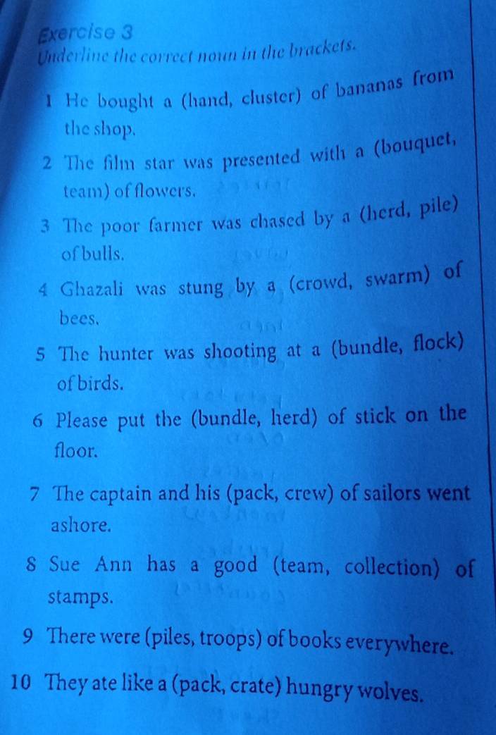 Underline the correct noun in the brackets. 
I He bought a (hand, cluster) of bananas from 
the shop. 
2 The film star was presented with a (bouquet. 
team) of flowers. 
3 The poor farmer was chased by a (herd, pile) 
of bulls. 
4 Ghazali was stung by a (crowd, swarm) of 
bees. 
5 The hunter was shooting at a (bundle, flock) 
of birds. 
6 Please put the (bundle, herd) of stick on the 
floor. 
7 The captain and his (pack, crew) of sailors went 
ashore. 
8 Sue Ann has a good (team, collection) of 
stamps. 
9 There were (piles, troops) of books everywhere. 
10 They ate like a (pack, crate) hungry wolves.