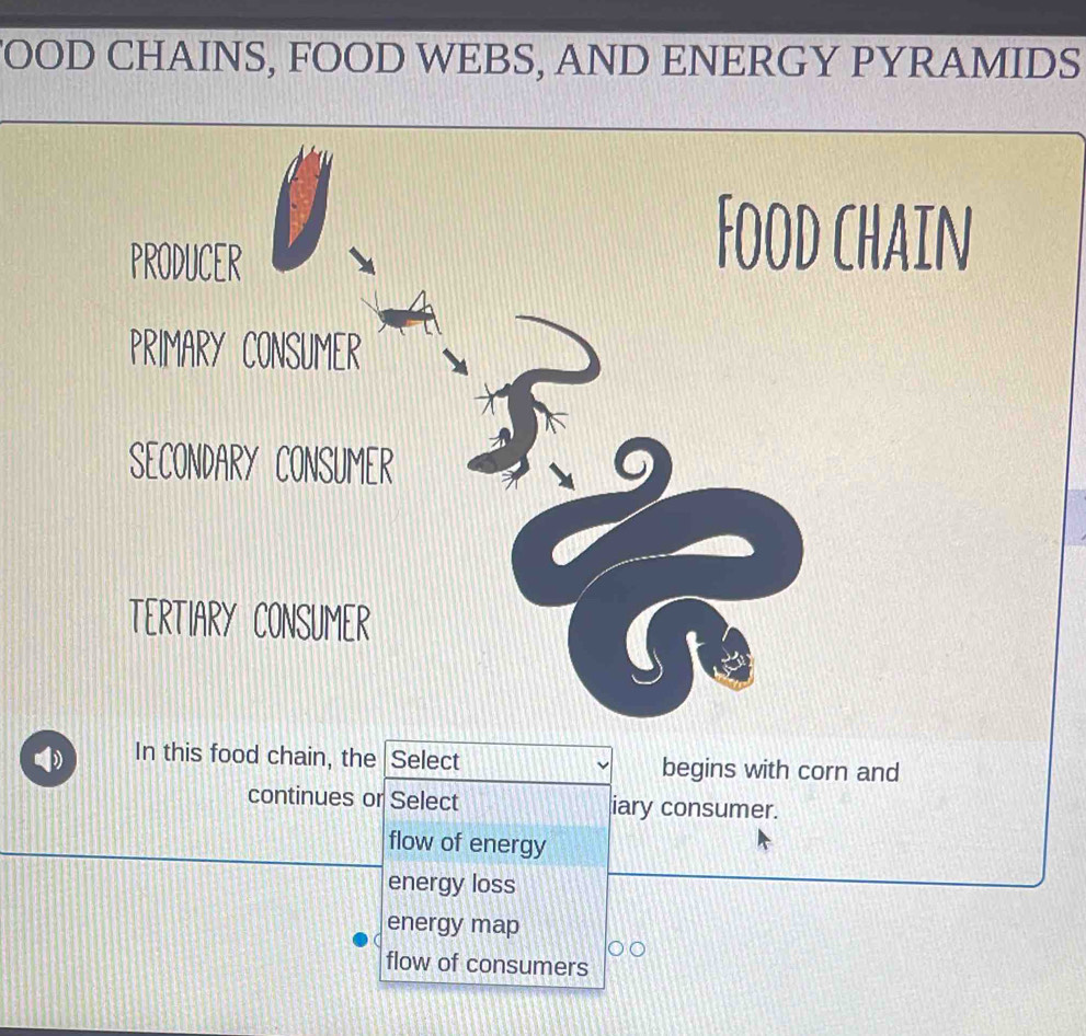 FOOD CHAINS, FOOD WEBS, AND ENERGY PYRAMIDS
PRODUCER
Food chain
PRIMARY CONSUMER
SECONDARY CONSUMER
TERTIARY CONSUMER
In this food chain, the Select begins with corn and
continues or Select iary consumer.
flow of energy
energy loss
energy map
flow of consumers