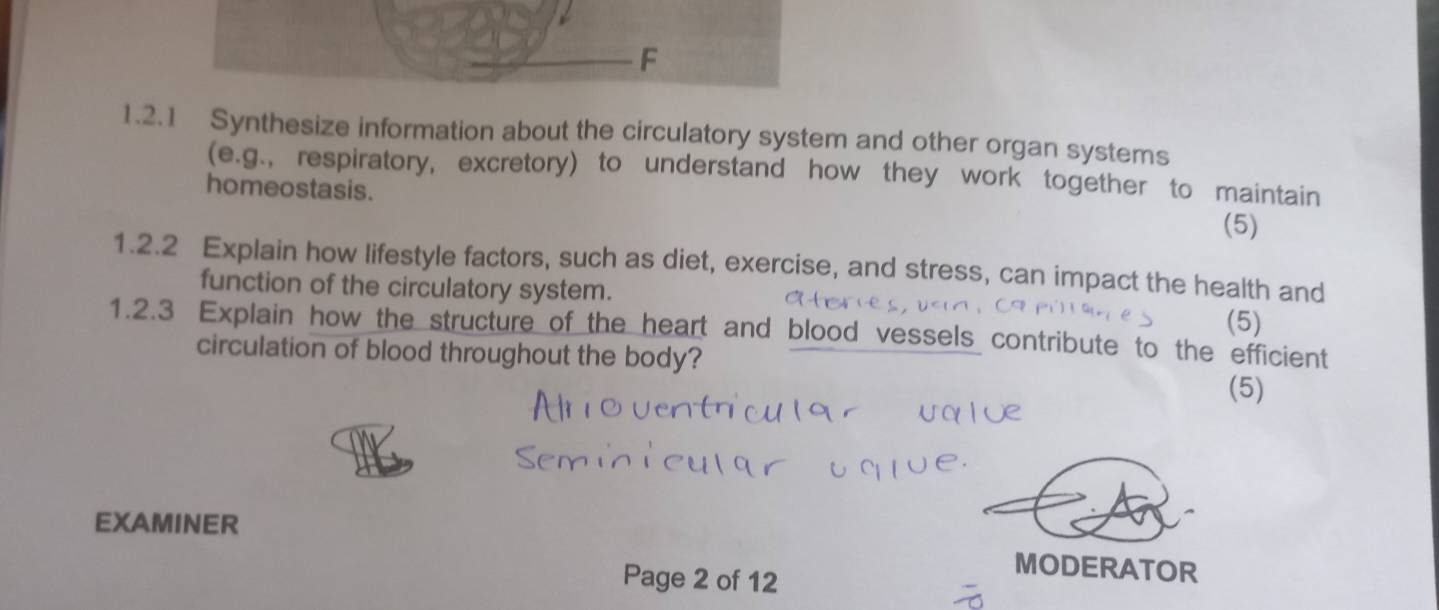 Synthesize information about the circulatory system and other organ systems 
(e.g., respiratory, excretory) to understand how they work together to maintain 
homeostasis. 
(5) 
1.2.2 Explain how lifestyle factors, such as diet, exercise, and stress, can impact the health and 
function of the circulatory system. 
(5) 
1.2.3 Explain how the structure of the heart and blood vessels contribute to the efficient 
circulation of blood throughout the body? 
(5) 
EXAMINER 
Page 2 of 12 
MODERATOR