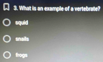 What is an example of a vertebrate?
squid
snails
frogs