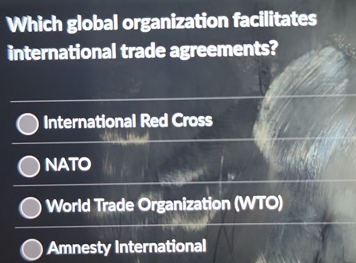 Which global organization facilitates
international trade agreements?
International Red Cross
NATO
w
World Trade Organization (WTO)
Amnesty International